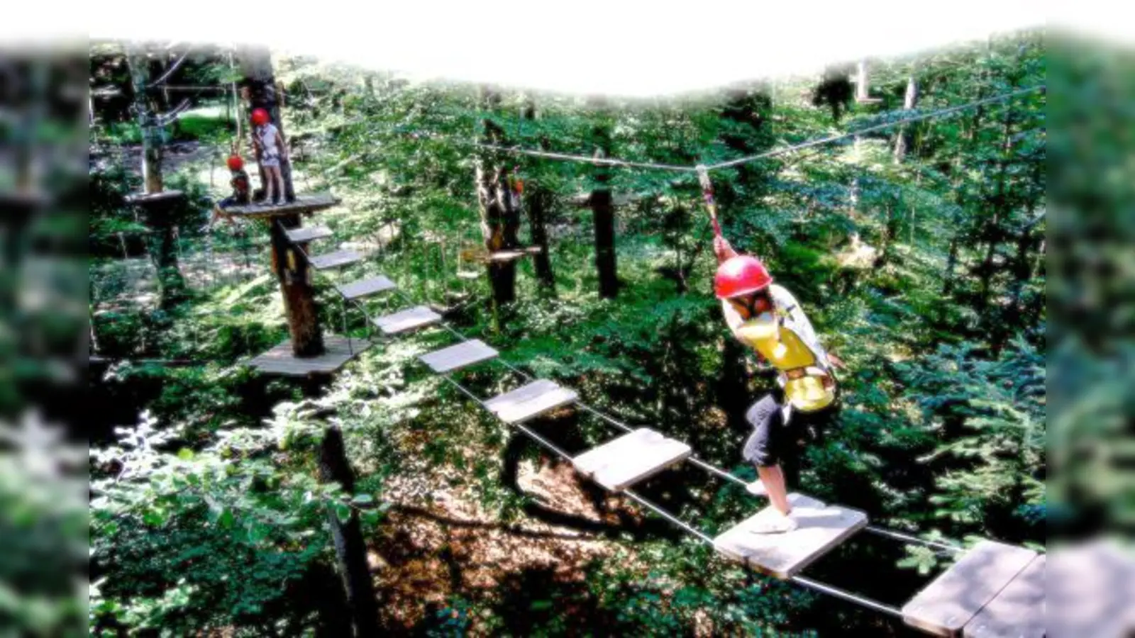 Schadet ein Klettergarten der Flora und Fauna des Bannwalds? In Vaterstetten gehen die Meinungen darüber auseinander.	 (Foto: Estermann Event & Abenteuer GmbH)