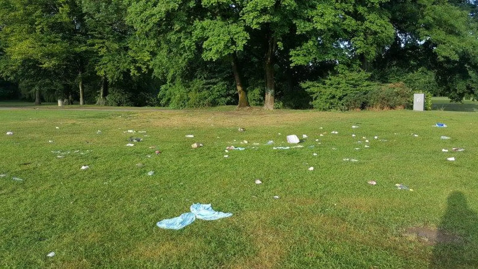 So sah der Englische Garten vor der Ramadama-Aktion aus. (Foto: Gemeinde Gottes des Weltmissionsvereins)