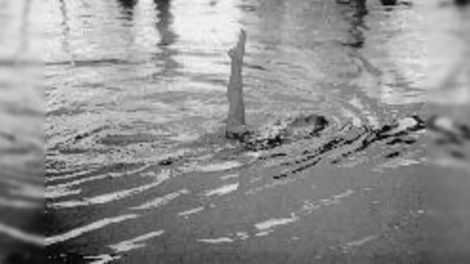 Nachwuchsschwimmerin Regine Hartwig bei ihrer Solokür.	 (Foto: Thekla Hartwig)