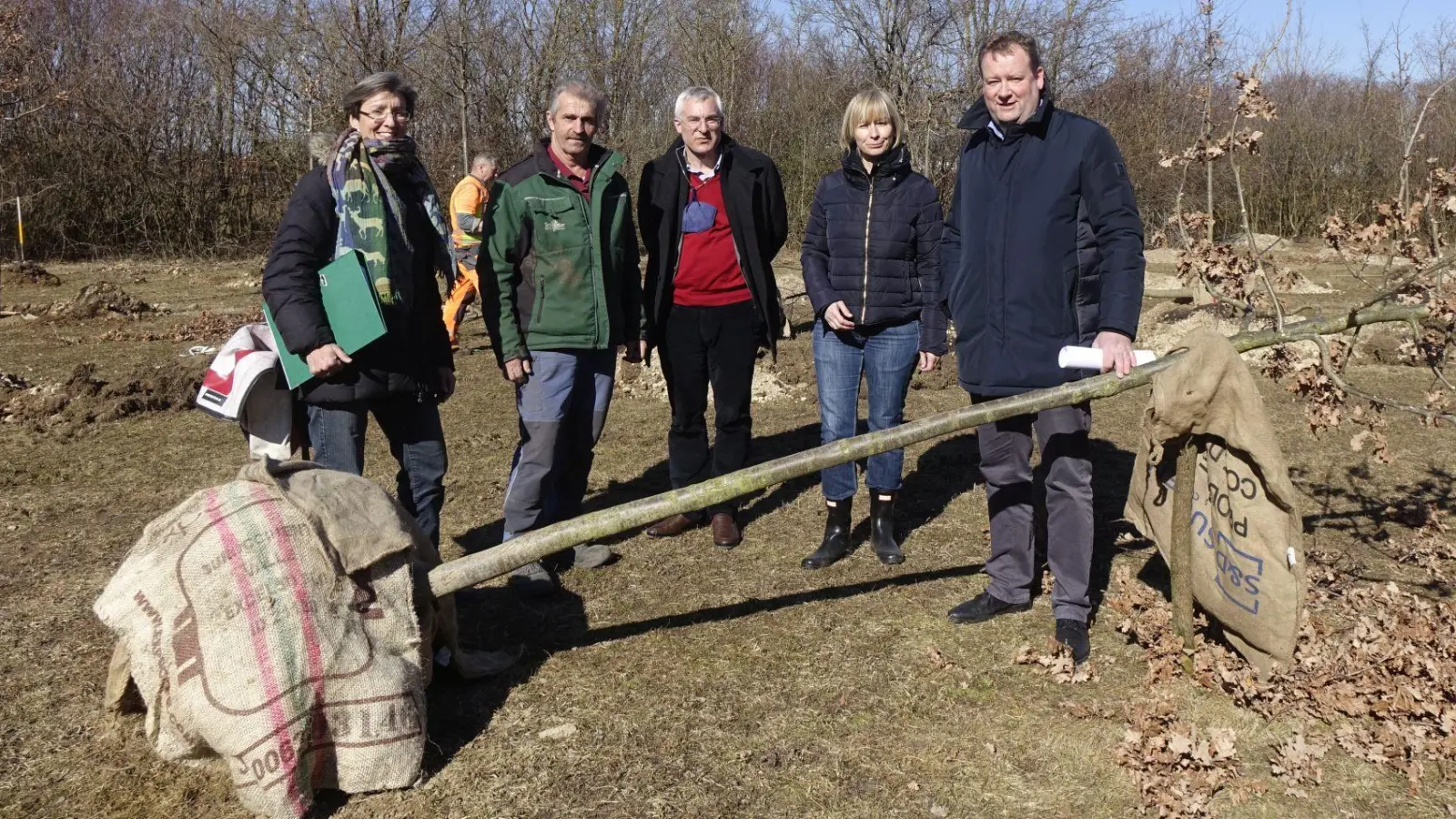 Die Stieleiche (Quercus robur, im Bild) wird neben der Hainbuche der bestimmende Baum auf der neuen Aufforstungsfläche östlich der Heitmeiersiedlung. Von links: Dagmar Digmayer, Landschaftsarchitektin, Ronald Veith, Bauleiter Fa. Schrader, Markus Ramsauer, Leiter Bauabteilung Gemeinde Gräfelfing, Dr. Lydia Brooks, Sachgebiet Umwelt Gemeinde Gräfelfing und Bürgermeister Peter Köstler. (Foto: Sabine Strack)
