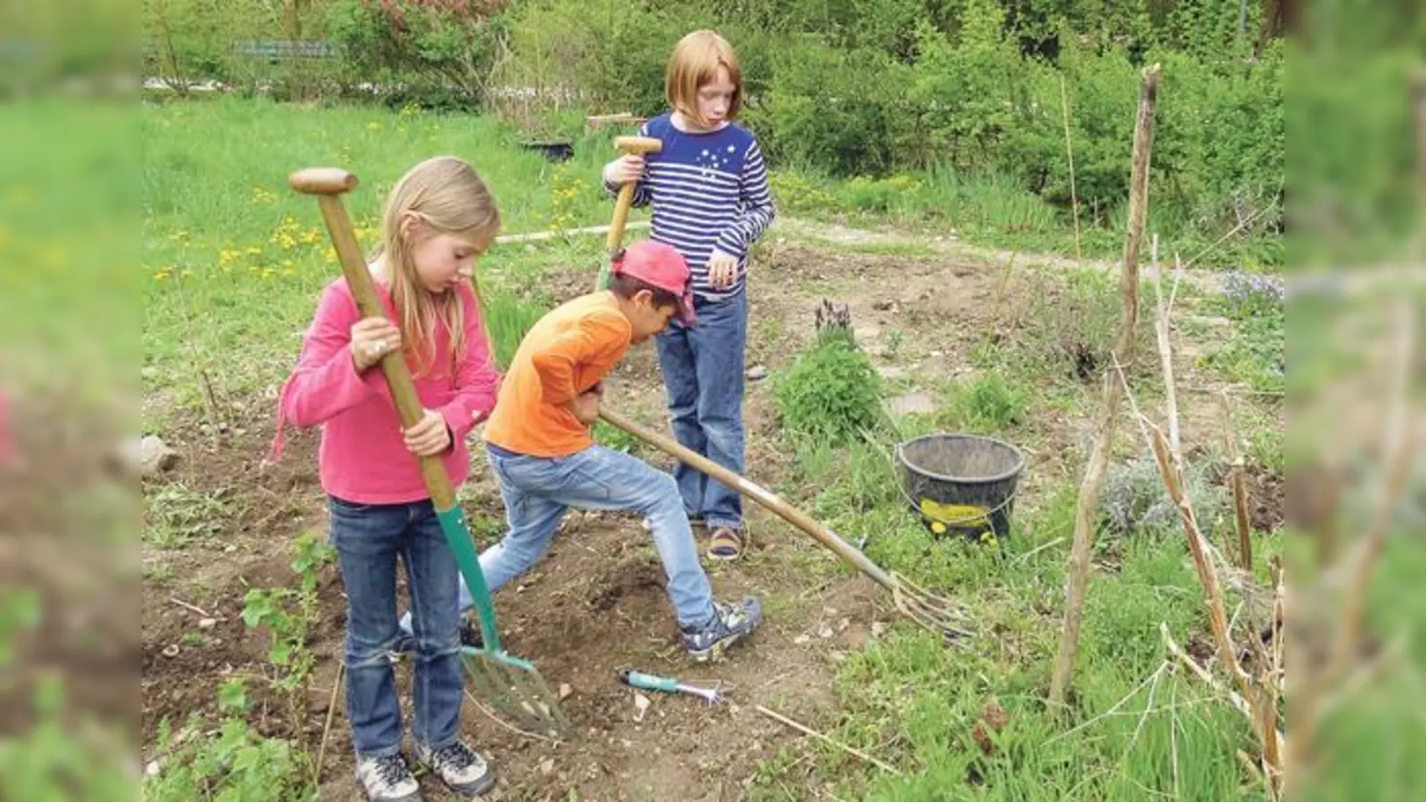 Im Gemeinschaftsgarten des ÖBZ dürfen Kinder graben, pflanzen und Beete ebnen.	 (Foto: Jasmin Mena Sauterel)