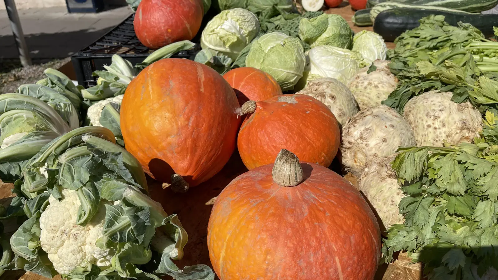 Jede Menge frisches Gemüse gibt es beim Poinger Wochenmarkt. (Foto: hw)