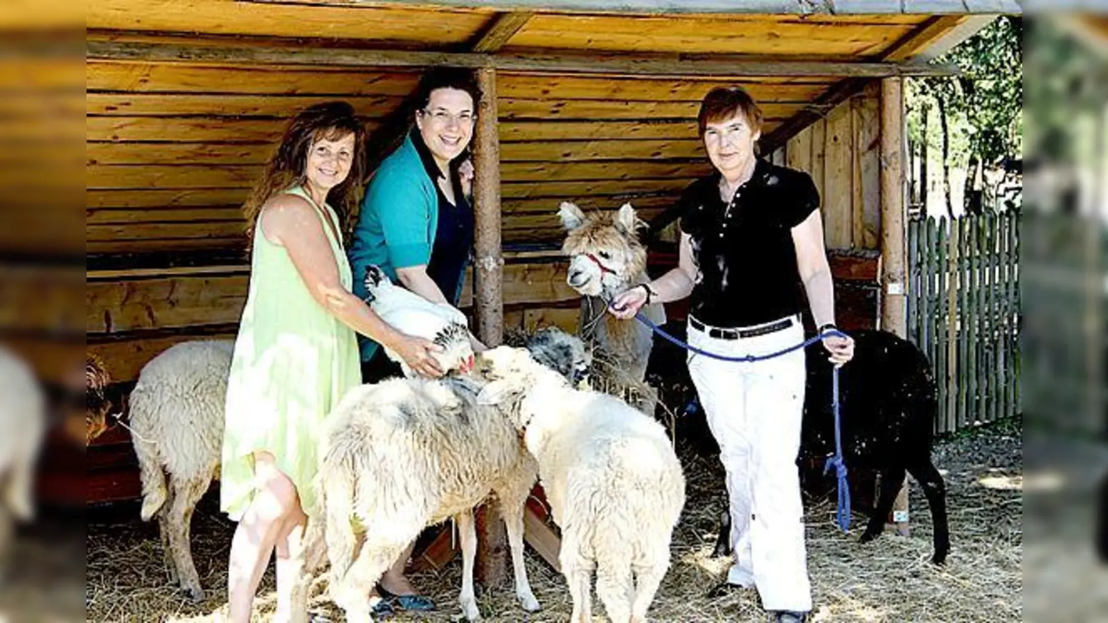 Farminhaberin Monika Posmik, Juliana Scholle und Vorsitzende Brigitte Scholle.	 (Foto: Luzia Sonnenkinder)