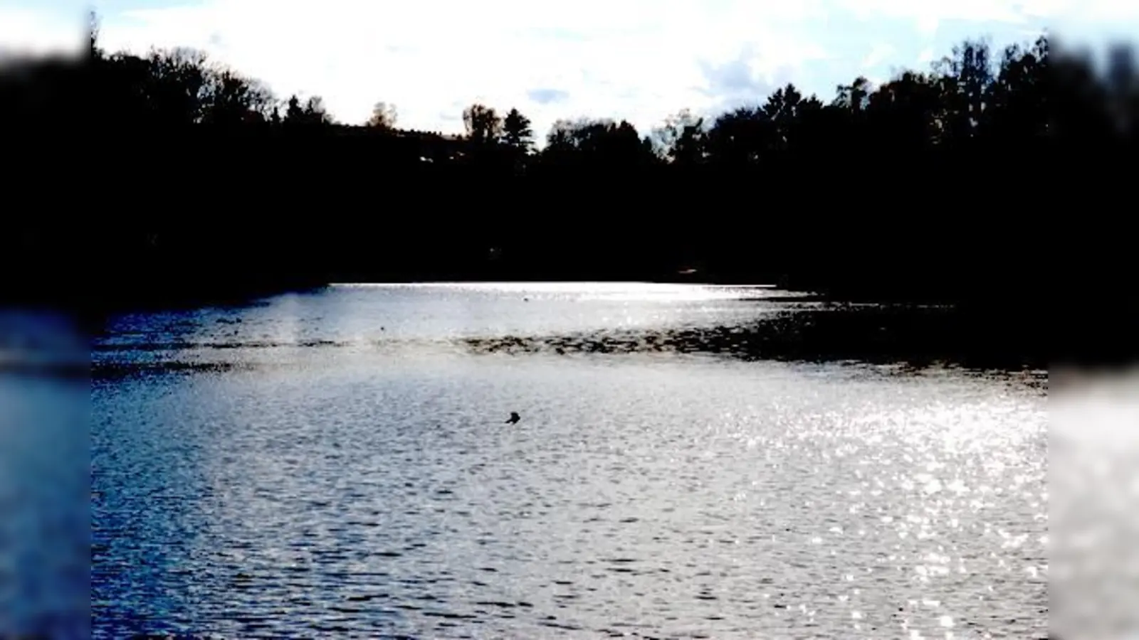 Die Reinigung des Ufersaums und speziell des gesamten Badebereichs, wir dieses Jahr ergänzt durch eine Böschungssicherung.	 (Foto: Stadt Ebersberg)