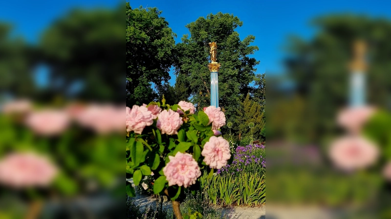 Umgeben von Rosen: Blick auf die Säule vor dem Casino auf der Roseninsel. (Foto: Bayerische Schlösserverwaltung)