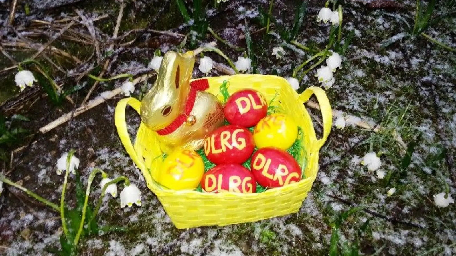 Viele bunte Ostereier und -hasen werden von der DLRG-Jugend versteckt.  (Foto: DLRG Pöcking-Starnberg)