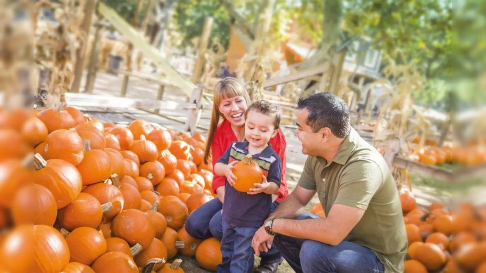 Pflanzen-Kölle lädt zum großen Herbstmarkt ein - inklusive Kürbis-Schnitzaktion für die Kids. (Foto: Pflanzen-Kölle)