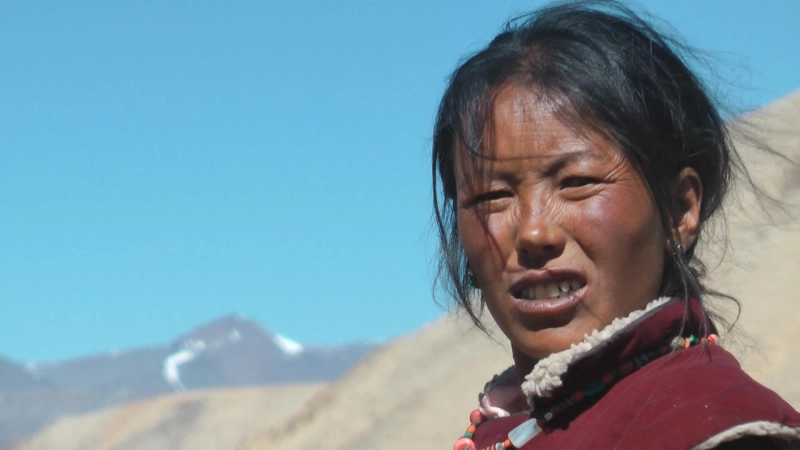 Ilke Ackstaller traf Menschen und Tieren in den Landschaften im Hochland von Ladakh.  (Foto: VA)
