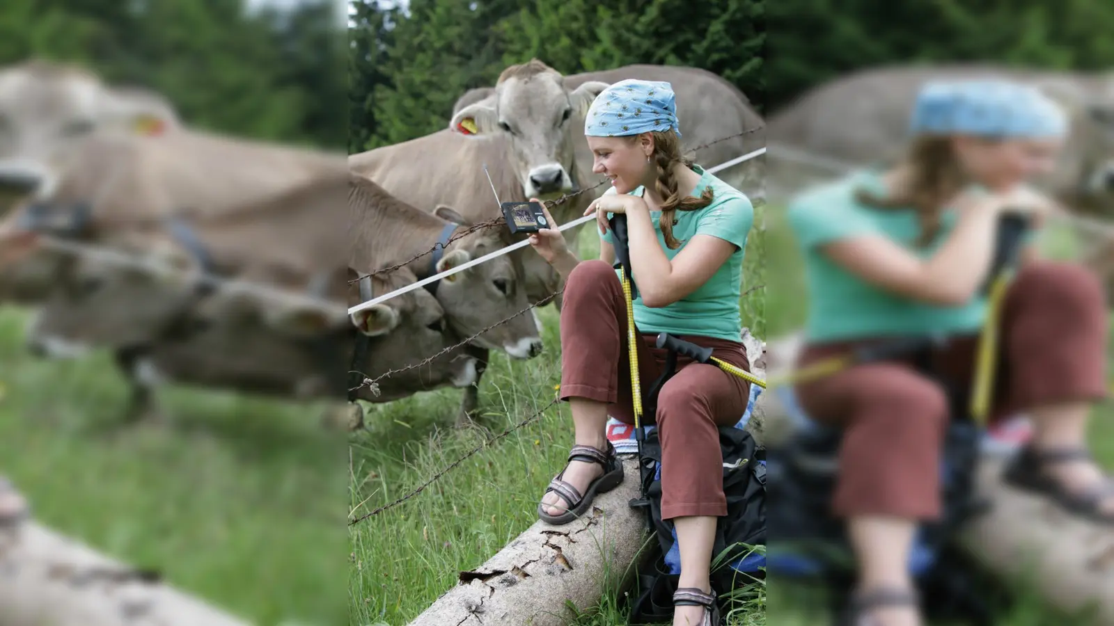 Foto: Foto: Bayerischer Rundfunk