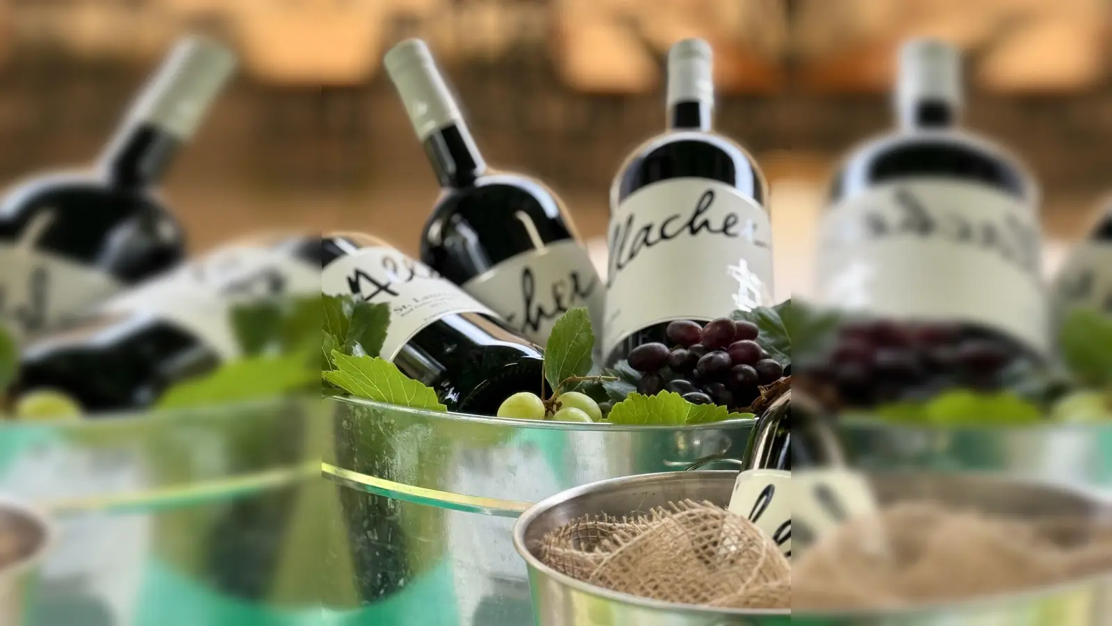 Köstliche Weine vom Weingut Allacher erwarten die Gäste beim Weinfest. (Foto: Gartenbauverein Allach)