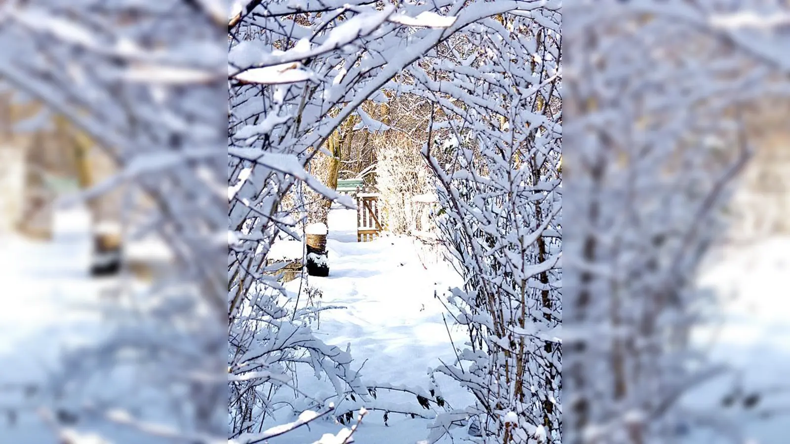 Ein Winterspaziergang durch den Garten und dann ins Café! Das geht auch bei wenig Schnee.	 (Foto: ÖBZ)