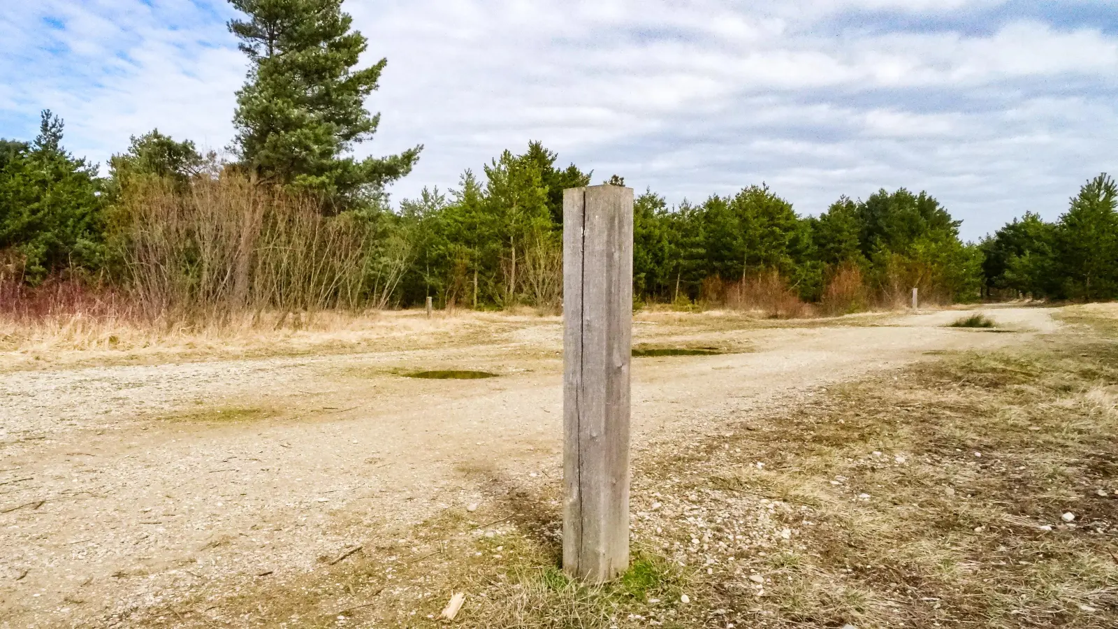 Mit Pflöcken aus langlebigem Robinienholz sind die Heidewege für Besucher markiert.  (Foto: Heideflächenverein)