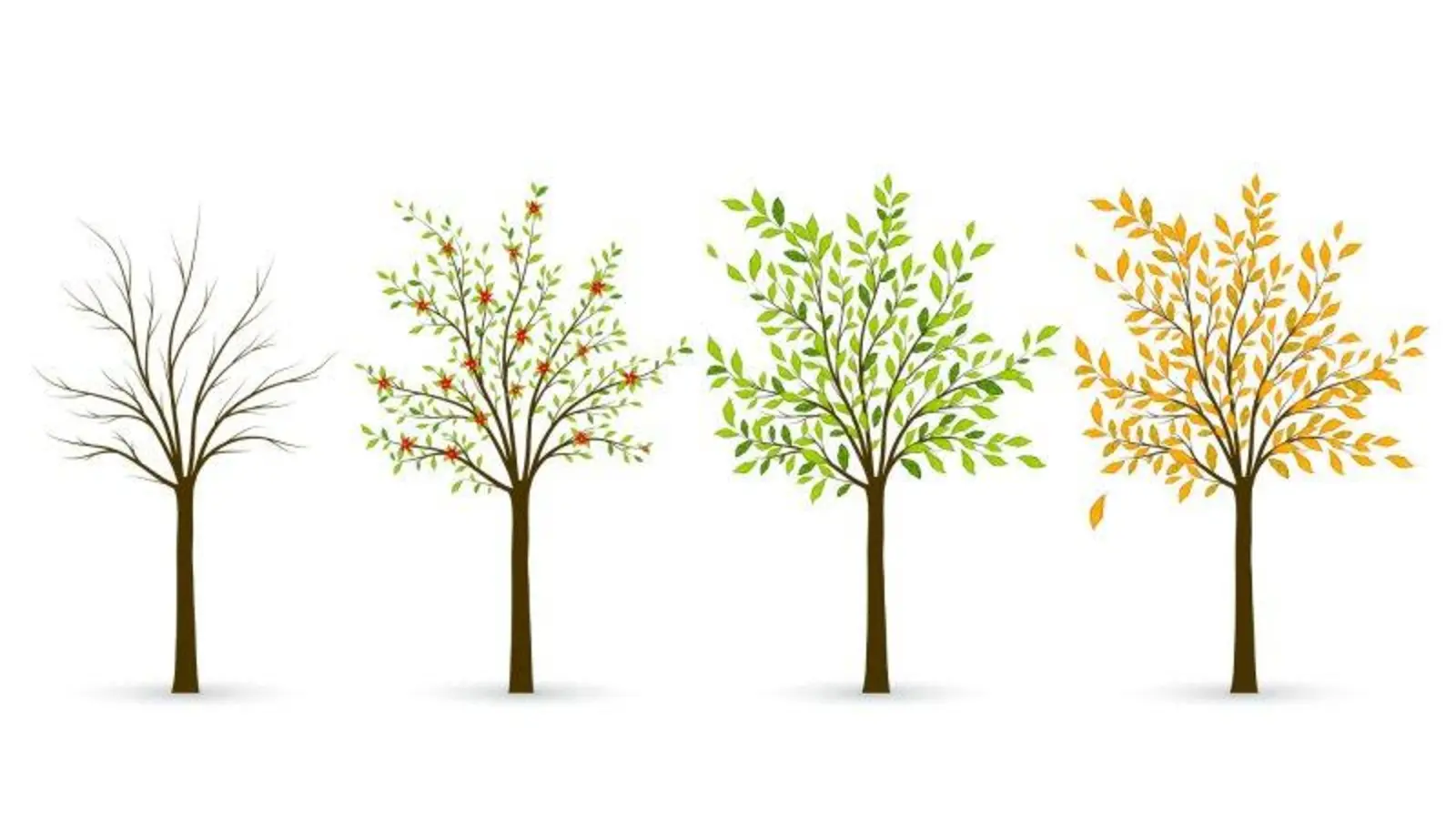 Wann machen Veränderungen Angst? (Foto: colourbox.com)