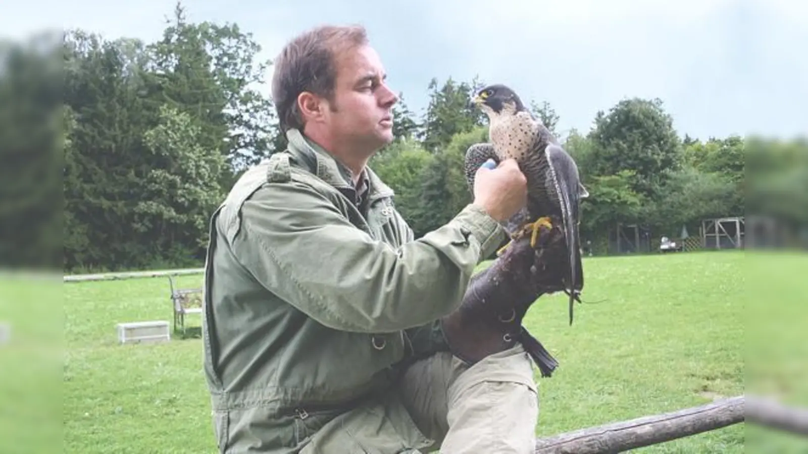 Da die Vögel auf ihren Falkner fixiert sind, ist Urlaub machen nicht drin: Rudolf Maier mit dem Wanderfalken Chiara. 	 (Foto: gh)