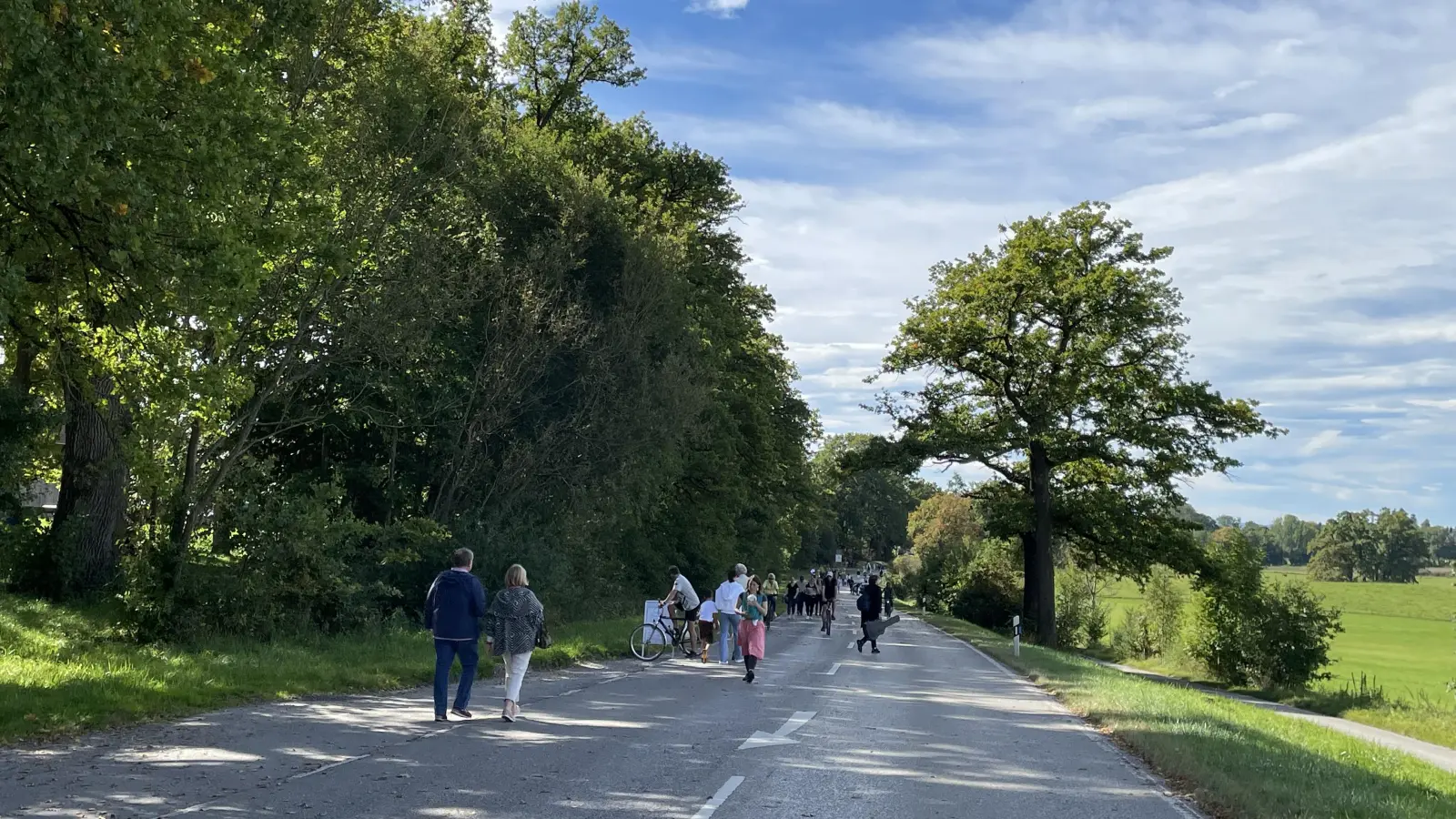 Nachhaltigkeit ist ein großes Thema im Leitlinienkonzept. Davon wird auch die historische Eichenallee profitieren.  (Foto: pst)