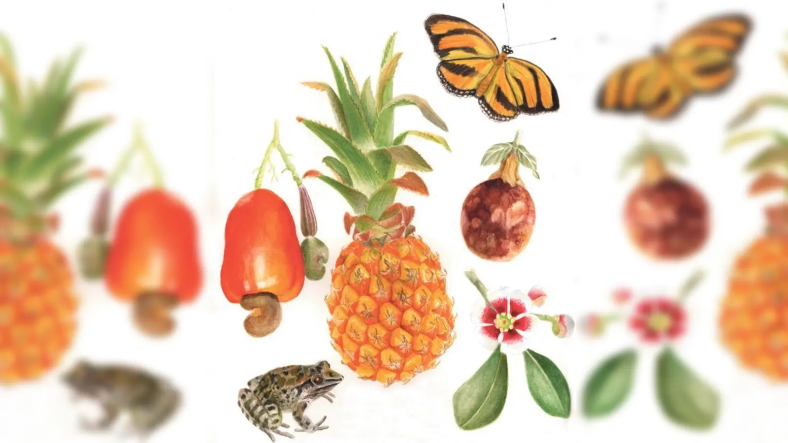 Tier- und Pflanzenzeichnungen von Dr. Taciana Ottowitz noch bis Freitag, 28. April zu sehen.	 (Foto: VA)