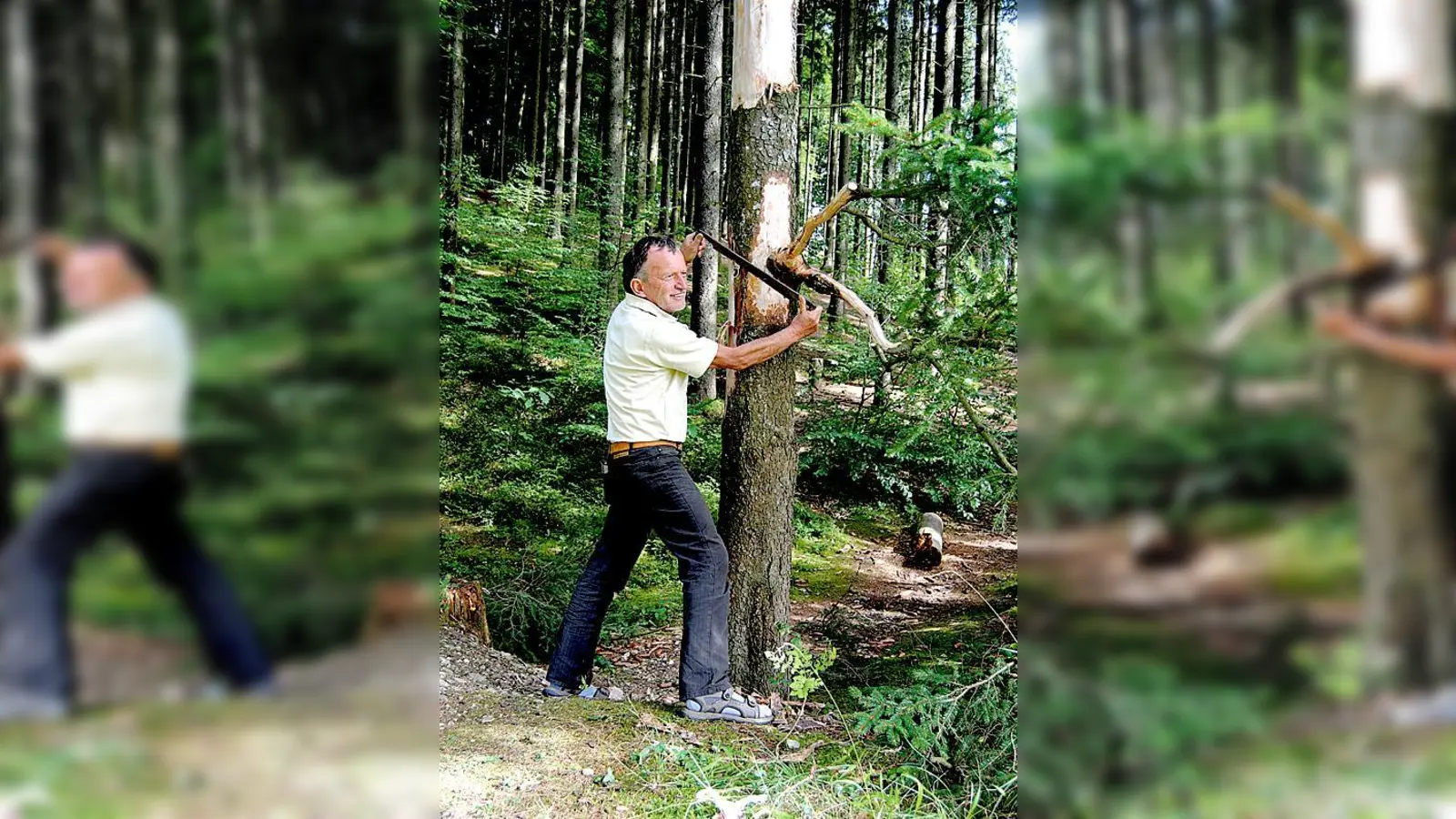 Die Totemschnitzaktion für das Waldfest am 9. Oktober wird bereits vorbereitet.	 (Foto: Meggle-Freund)