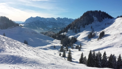 Unverspurtes Gelände und tiefverschneite Landschaften: beim Schneeschuhwandern lassen sich die winterlichen Berge abseits vom Trubel entdecken. (Foto: Stefan Dohl)