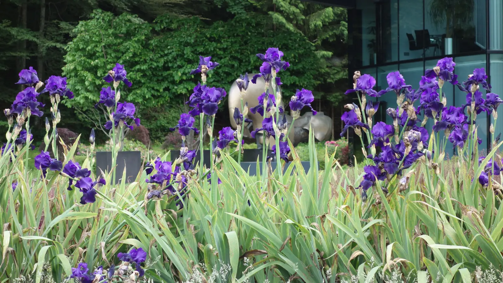 Für Gartenfreunde ein Muss: Der Tag der offenen Gartentür im Landkreis Ebersberg. (F: hw)