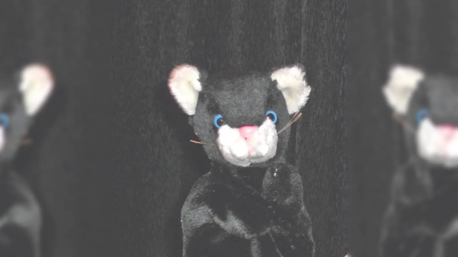 Kater Maunz reist mit den kleinen Unterhachingern bis nach Afrika.	 (Foto: VA)