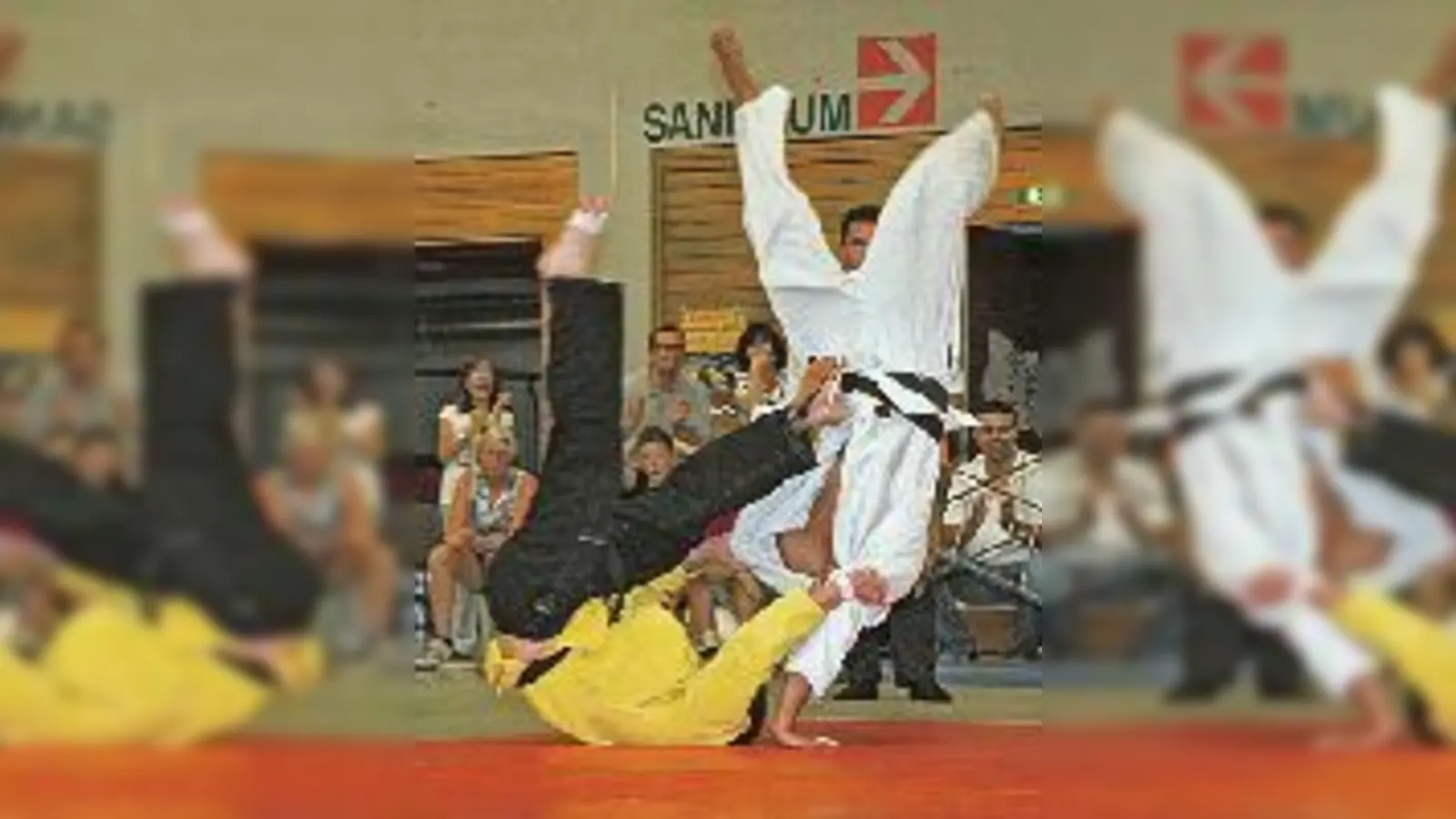 Die Hartecker Judokas kämpfen freundschaftlich für eine gute Sache. 	 (Foto: Verein)