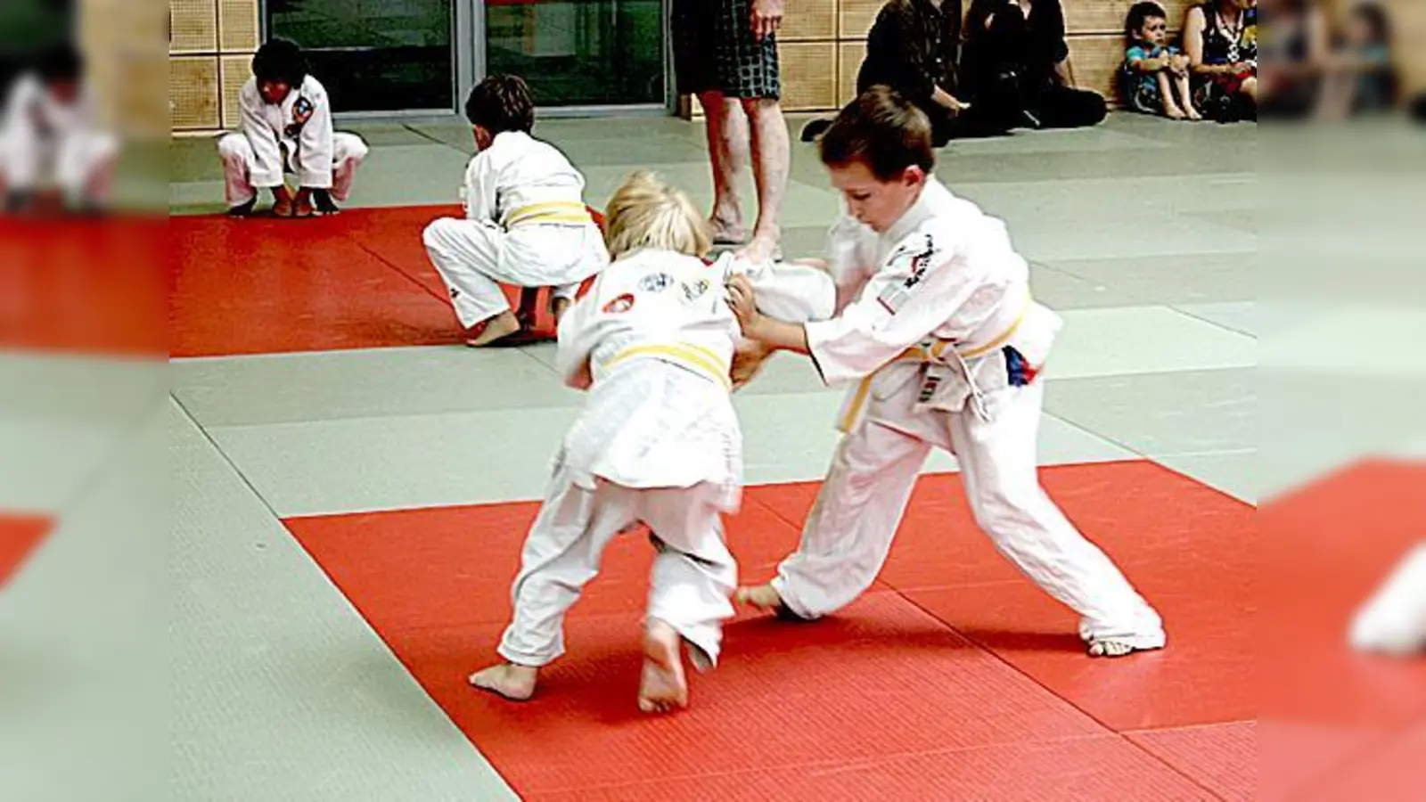 Der TSV Unterhaching veranstaltete eine Judo-Safari für seine Buben und Mädchen. 	 (Foto: VA)