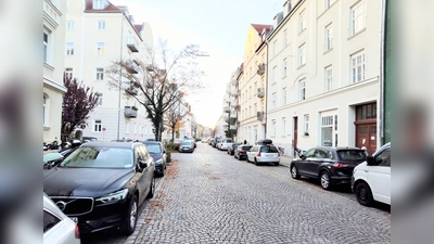 Viel Grün gibt es in der Danklstraße in der Tat nicht. (Foto: tje)