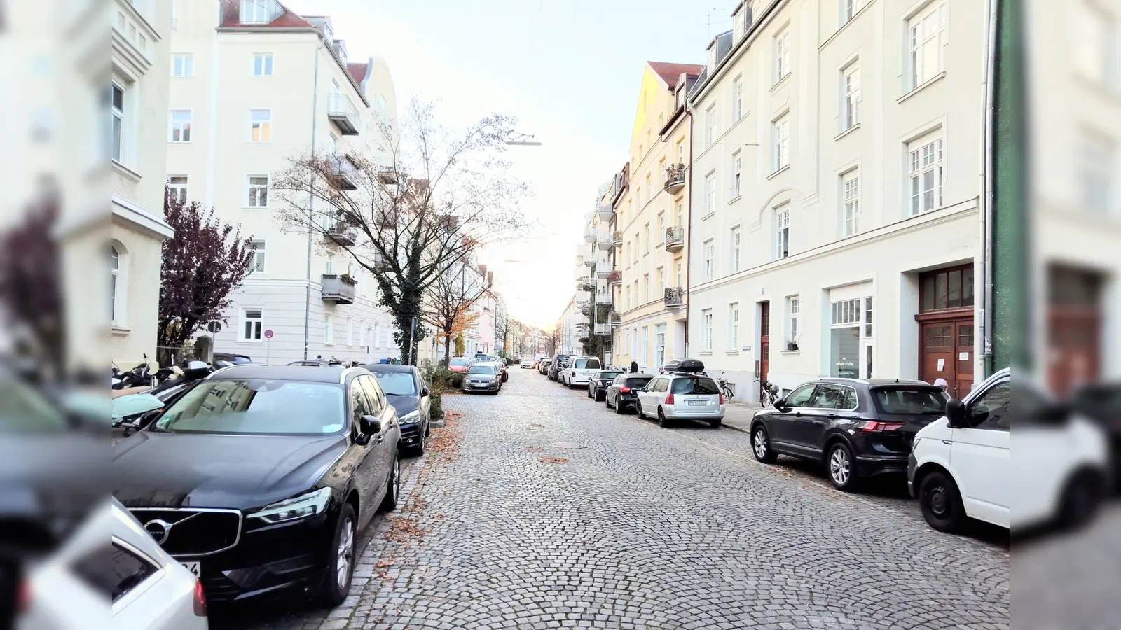 Viel Grün gibt es in der Danklstraße in der Tat nicht. (Foto: tje)