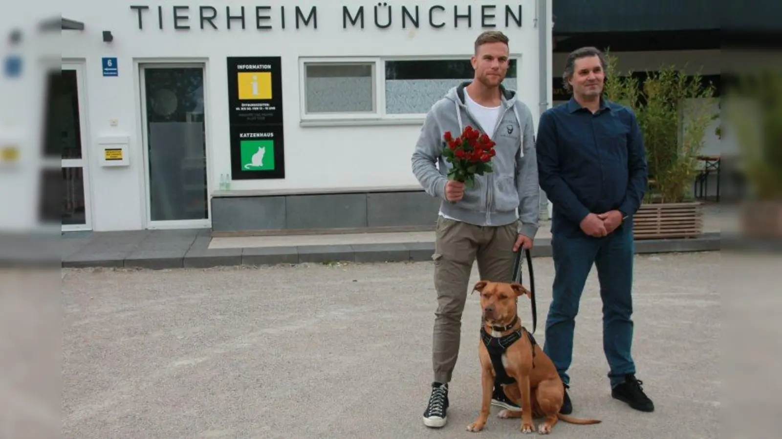 Claus Reichinger, Vorstandsmitglied im Tierschutzverein München, begrüßte Sebastian Preuss (l.), der durch seinen Besuch ein wenig Aufmerksamkeit auf das Tierheim lenken wollte. Vor ihm der Mischlingsrüde Chopper, der es als Listenhund trotz seines freundlichen Charakters schwer hat, in Bayern vermittelt zu werden. (Foto: bb)