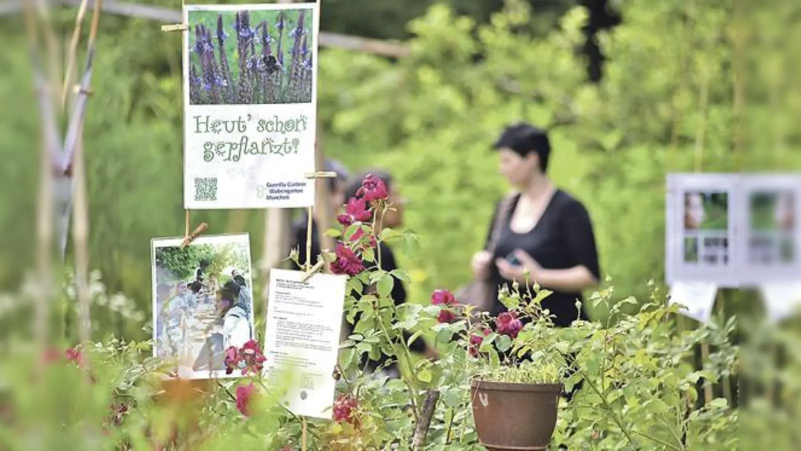 Die verschiedenen Gärten des Ökologischen Bildungszentrums München können die Besucher am Sonntag bei mehreren kostenlosen Führungen erkunden.	 (Foto: ÖBZ)