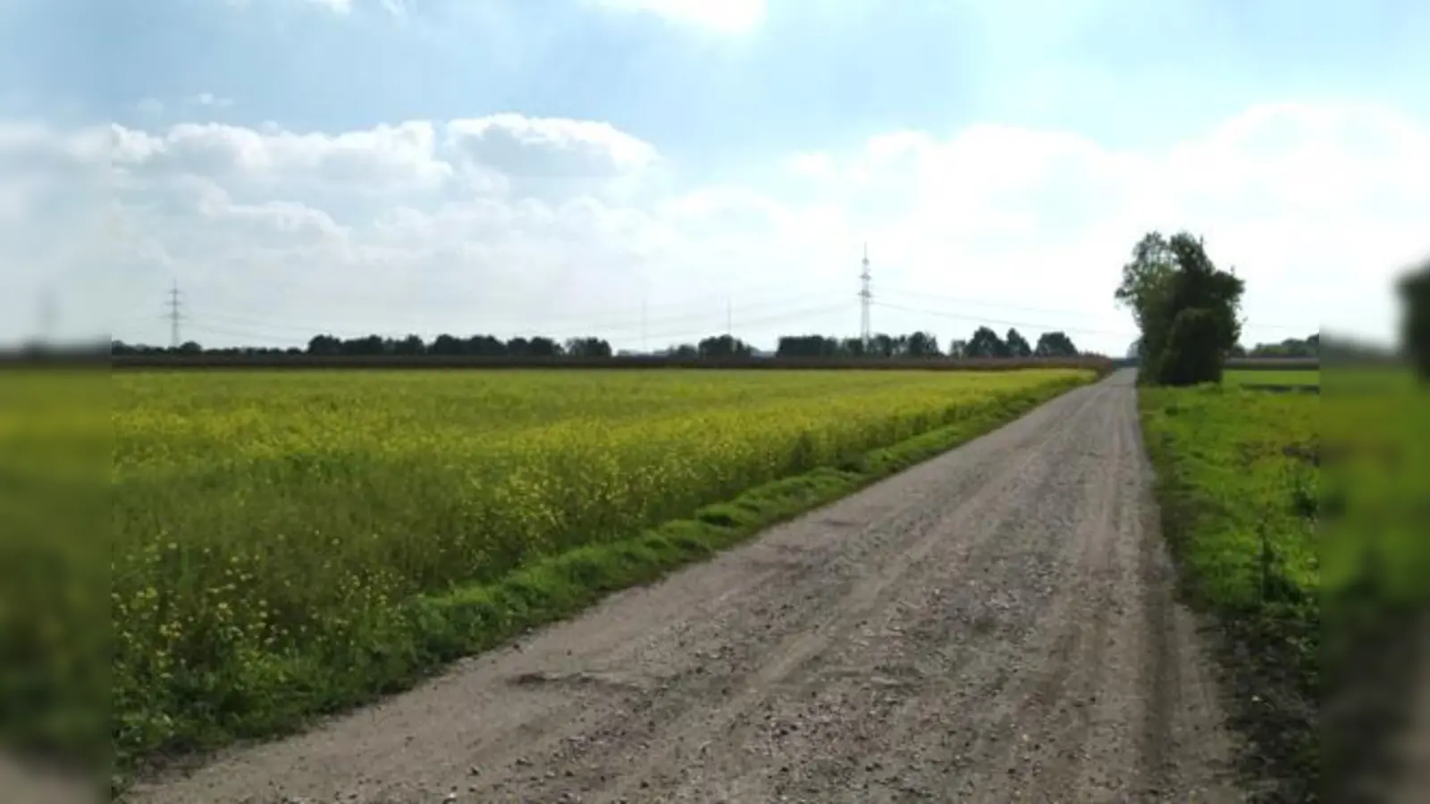 Das »Beckermoos« ist die Konzentrationsfläche für Windkraftanlagen 	 (Foto: bb)