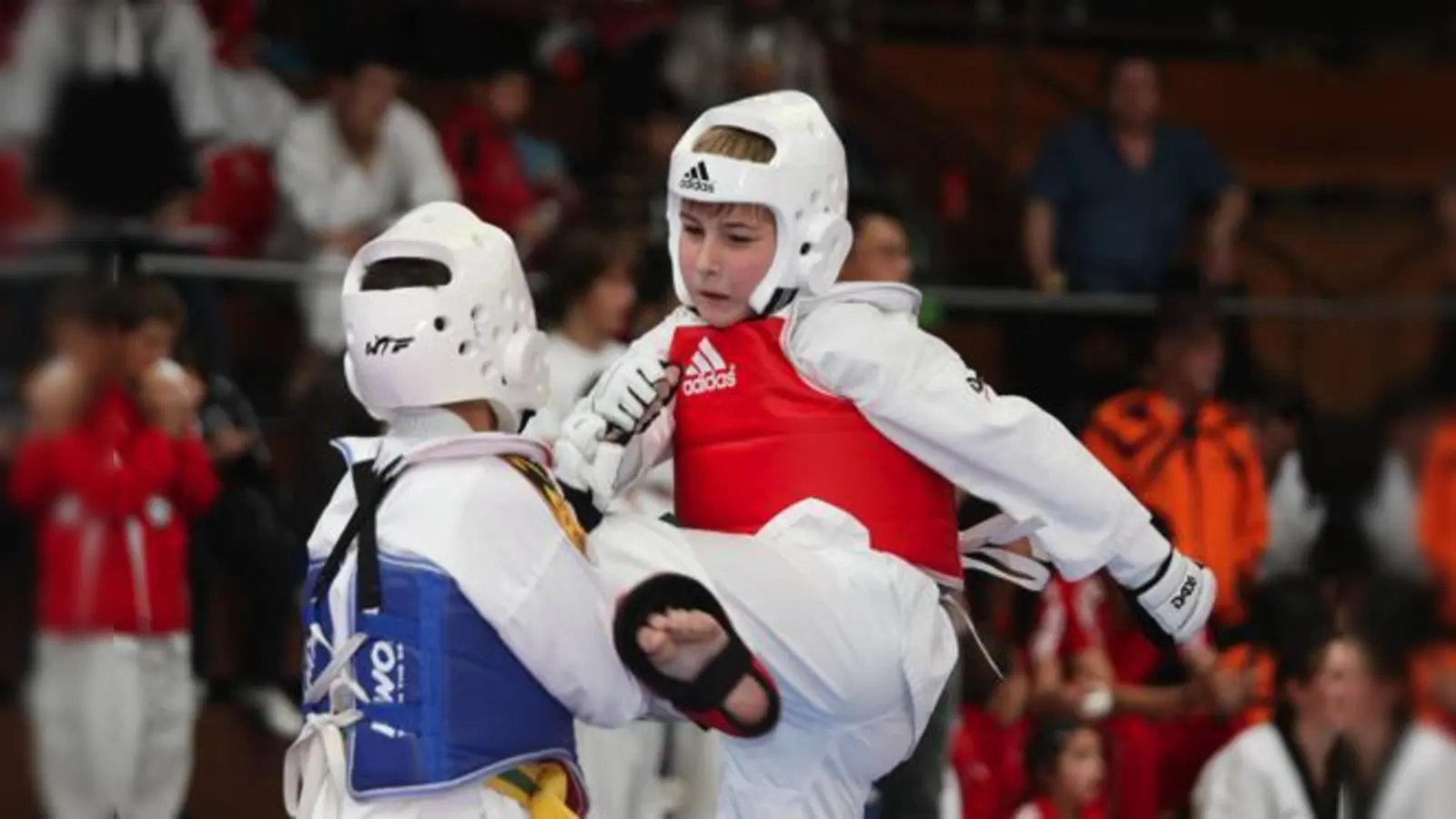 In der Mannschaftswertung holten die Kirchseeoner Taekwondo-Kämpfer beim Circle Cup Platz zwei.	 (Foto: Verein)