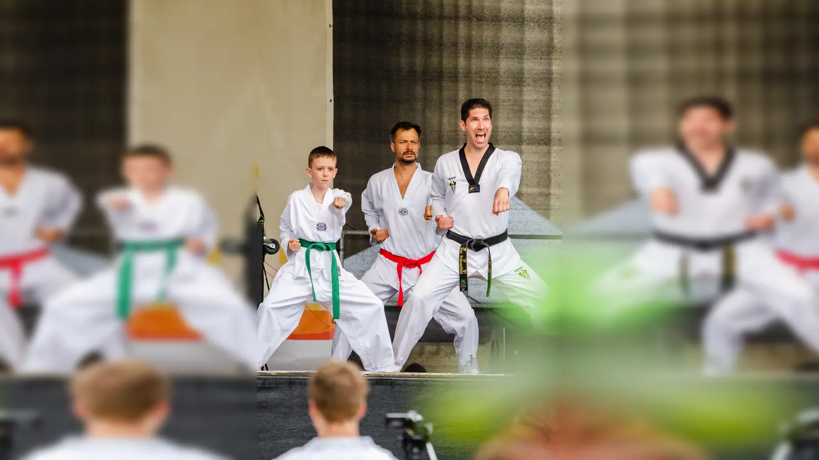 Die Show bot einen guten Einblick in die Kampfkunst des Taekwondo. (Foto: privat)