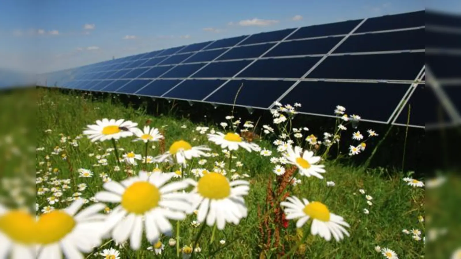 Die Freiflächen-Fotovoltaikanlage im Haarer Ortsteil Salmdorf von 3,8 Hektar, produziert ein Megawatt Strom.	 (Foto: Gehrlicher Solar AG)