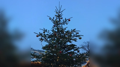 Noch stehen die Christbäume, doch wohin damit, wenn Weihnachten vorbei ist?  (Foto: Daniel Mielcarek)