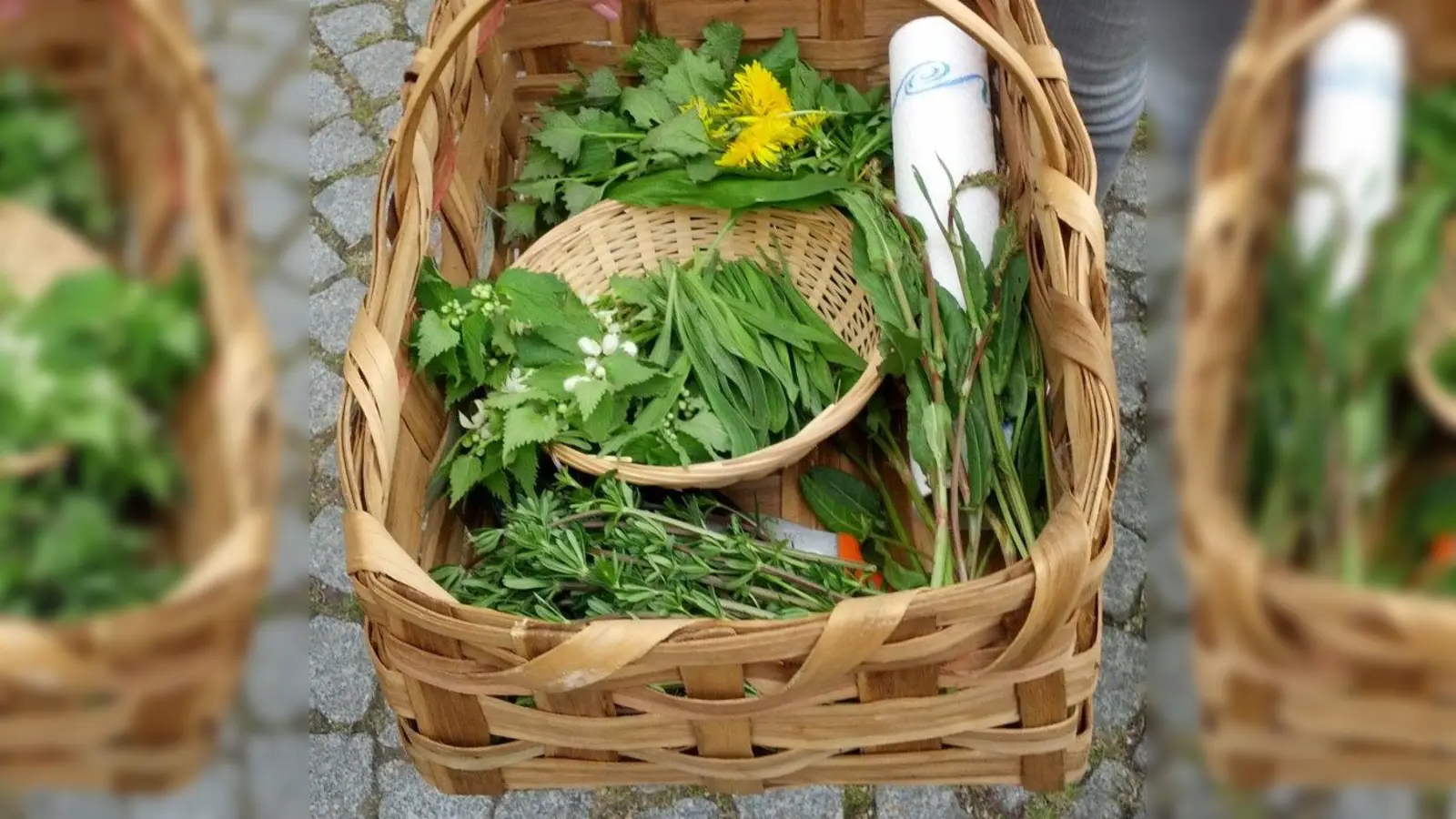Auf unseren heimischen Wiesen ist der &amp;quot;Tisch&amp;quot; reich gedeckt. Auf einer Wildkräuterführung in und um Frieding kann man vom Wissen von Gisela Hafemeyer profitieren. (Foto: Hafemeyer)