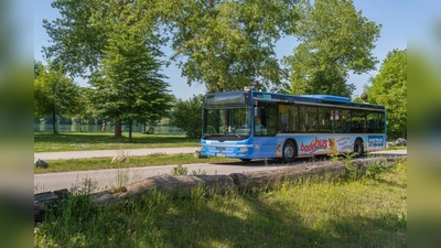 Der Badebus fährt wieder an den Langwieder See. (Foto: Münchner Linien)