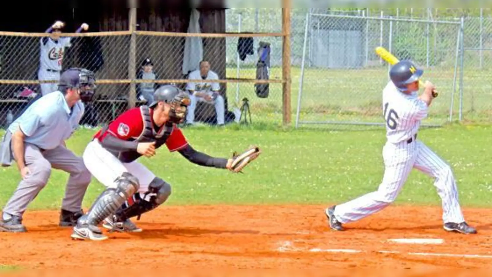 Im Baseballpark am Oberwiesenfeld wurde die neue Saison eingeläutet. 	 (Foto: Verein)