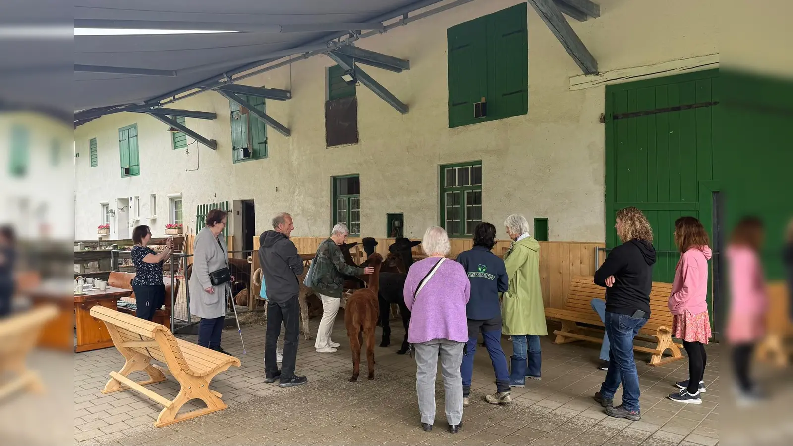 Teilnehmende am Gruppenangebot der Caritas-Beratungsstelle für Seelische Gesundheit im Alter  (Foto: Caritas, Madlen Hardke)