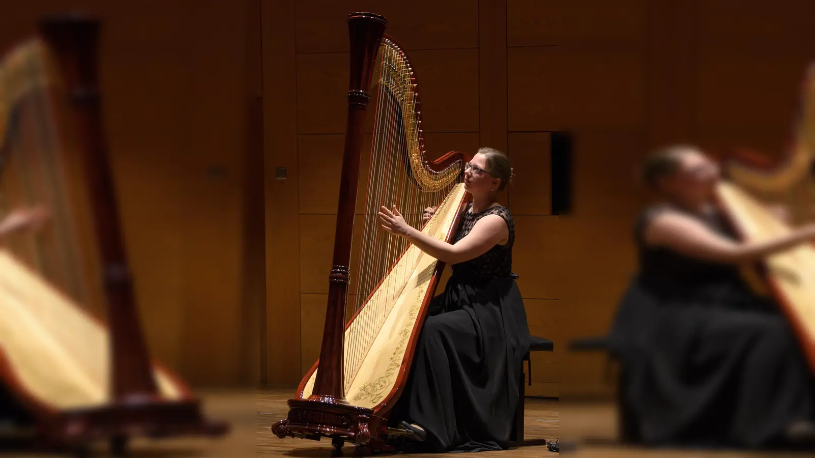 Auch die Harfenistin Anna Richter wird bei dem Benefizkonzert auftreten. (Foto: Richter)