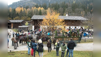 Buntes Treiben im Museumsdorf. (Foto: Markus Wasmeier)