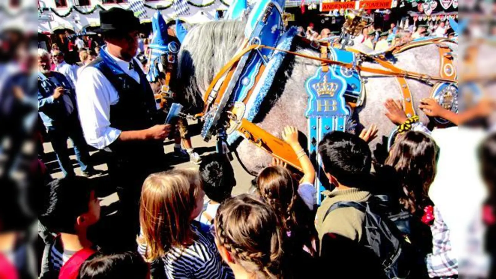 Hautnah am Kaltblut: Viele Kinder sind von den Brauerei-Rössern kaum wegzubekommen.  (Foto: ff)