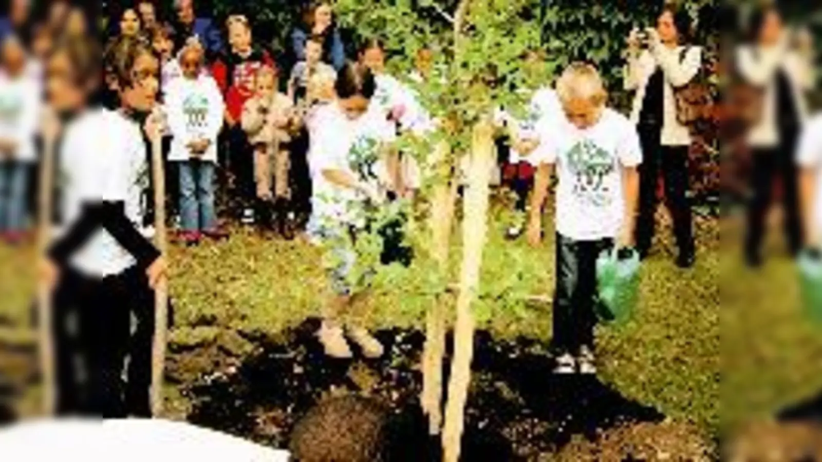 Bäume pflanzen  darum geht es vor allem bei »Plant for the Planet«.	 (Foto: VA)
