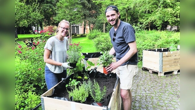 Am Fuße der Matthäuskirche ist 2018 ein neuer Gemeinschaftsgarten entstanden. Heuer geht es weiter. (Foto: Katharina Gressmann)