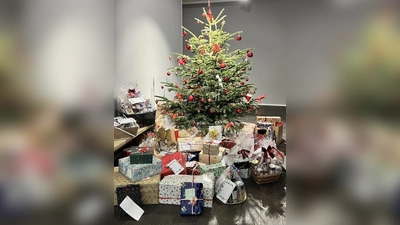 Die Frauen-Union Vaterstetten veranstaltet wieder ihre beliebte Wunschbaumaktion. Die Geschenke müssen bis 3. Dezember abgegeben werden. (Foto: Merzendorfer)