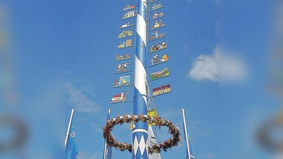 Nach elf Jahren bekommt Unterbiberg endlich wieder einen Maibaum.	 (Foto: VA)