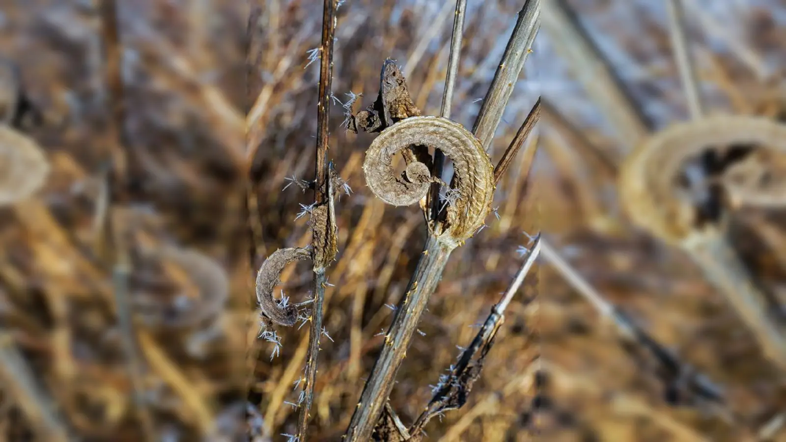 Ob Fotografie von Gertrud Ritz oder Malerei von Evi Schneider: Die Ausstellung der Gruppe BoART ist sehr vielfältig und präsentiert noch zehn weitere Künstler.  (Foto: VA)