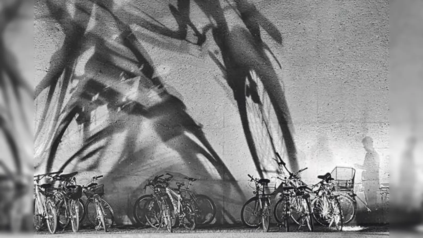 Die Fotos von Dorothee Passin  kann man in einer Ausstellung ab dem 8. Februar bewundern.	 (Foto: Passin)