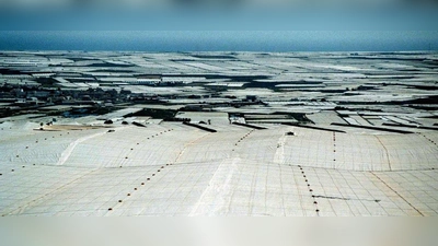 Die größte Gemüseanbaufläche der Welt: das „Mar del plastico“ im Süden Spaniens. (Foto: VA)