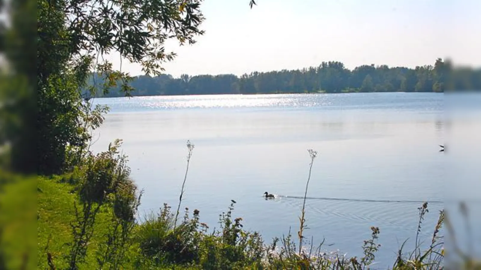 Die Kinder im Stadtteil wünschen sich ein Floß für den Feldmochinger See.	 (Foto: ws)